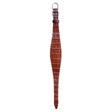Dog Collar & Leashes